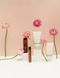 Набір мініатюр для зволоження волосся Mini Set Curly Shyll