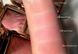 Рум'яна Ambient Strobe Lighting Blush