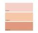Концентрат з тонуючим ефектом для обличчя B-Color Rhea, 10мл, I світлий