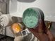 Відновлююча та заспокійлива маска з екстрактом зеленого чаю Essentielle Reafirming Mask Green Tea Atache, 200мл