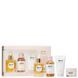 Набор для ухода за волосами Gisou Honey Infused Haircare Set