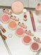 Румяна Blush De Beaut&eacute; Gucci, 01 Silky Rose