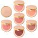 Румяна Blush De Beaut&eacute; Gucci, 01 Silky Rose